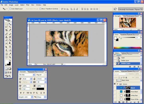 Creation of Eye Of The Tiger: Step 3